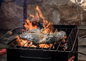 bbq1